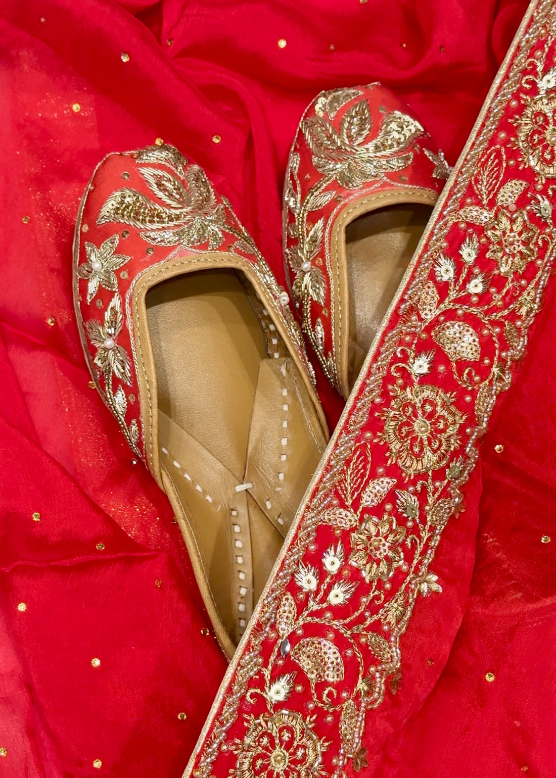 Laalika ~ Handcrafted Zardozi Leather Jutti